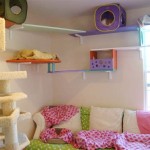 Cat Room Decor Ideas