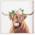 Highland Cow Home Decor