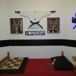 Karate Room Decorating Ideas